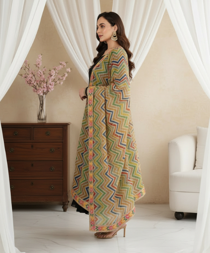 Multicolour Organza Embellished Dupatta