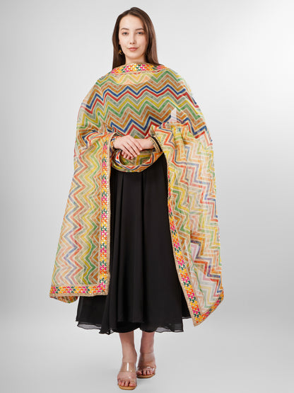 Multicolour Organza Embellished Dupatta